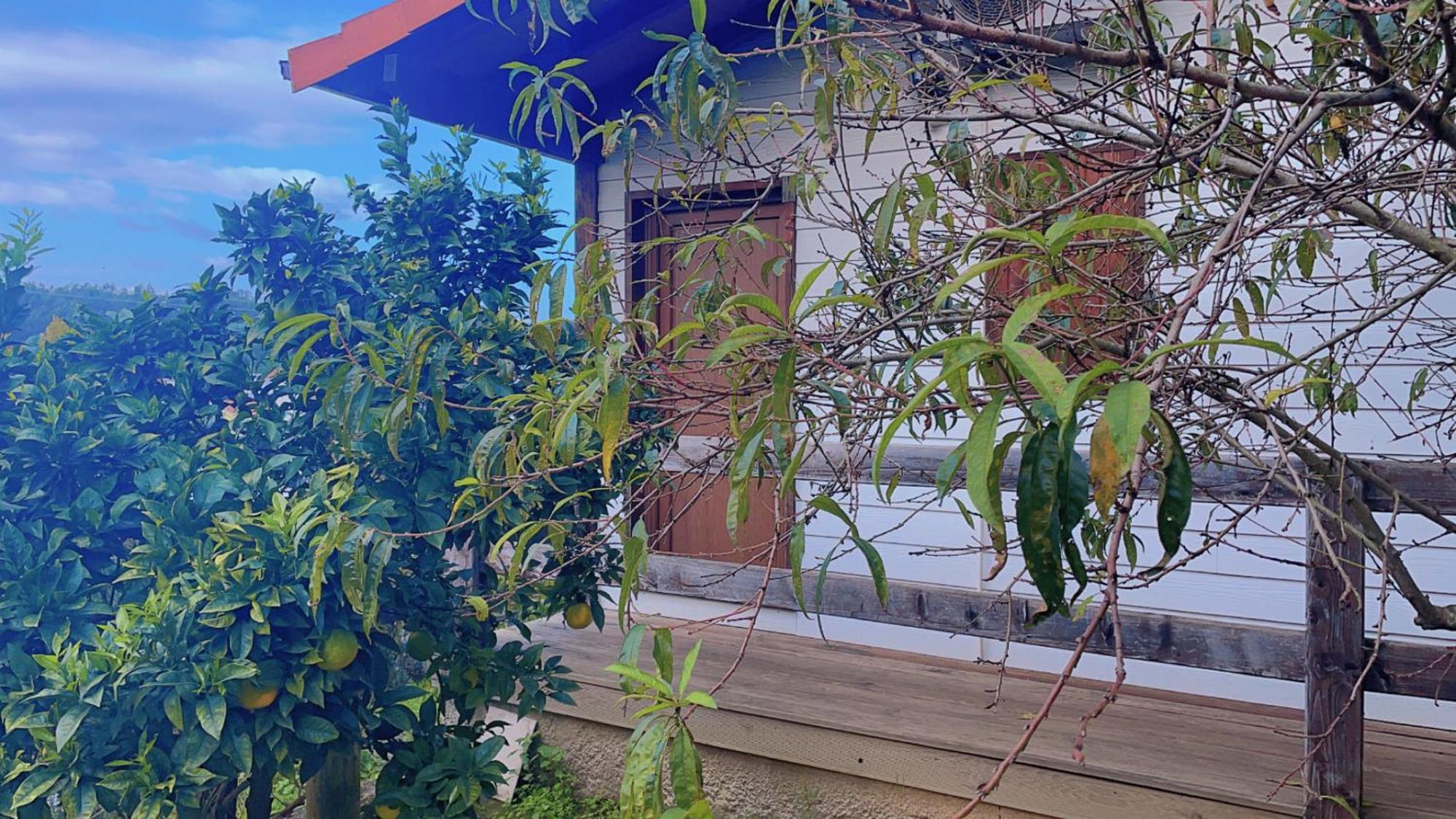 Jantesta Guest House Coimbra Exterior foto
